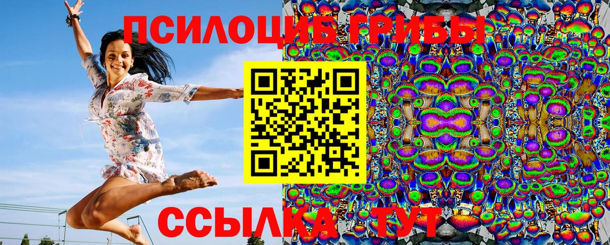 Псилоцибиновые грибы Psilocybine cubensis  Вход с VPN  наркотики  Псилоцибиновые грибы Psilocybine cubensis  Михайловск 