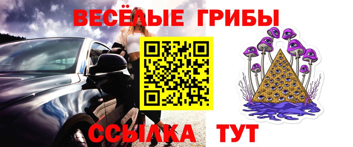 Псилоцибиновые грибы мицелий Михайловск